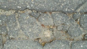 2011-04-08_17-33-56_0