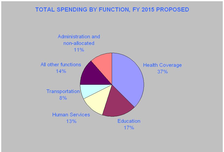 Budget Breakdown by Function 2015