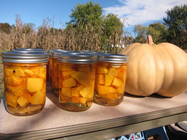 Pumpkin pickles made at Belmont Acres Farm Food Day canning demonstration